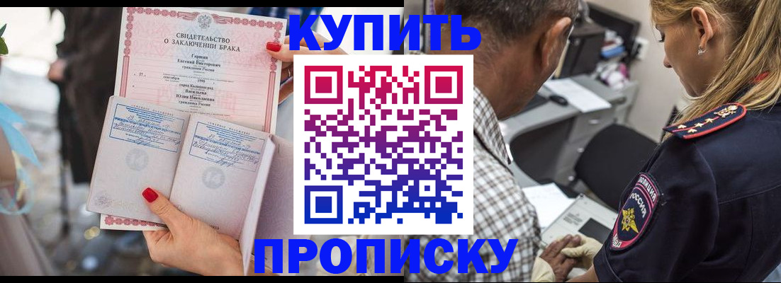 прописка законно в Заинске